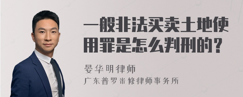 一般非法买卖土地使用罪是怎么判刑的？