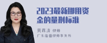 2023最新挪用资金的量刑标准