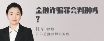 金融诈骗罪会判刑吗？