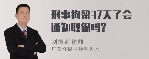 刑事拘留37天了会通知取保吗?