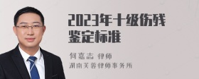 2023年十级伤残鉴定标准