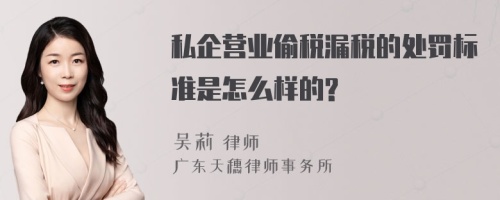 私企营业偷税漏税的处罚标准是怎么样的?