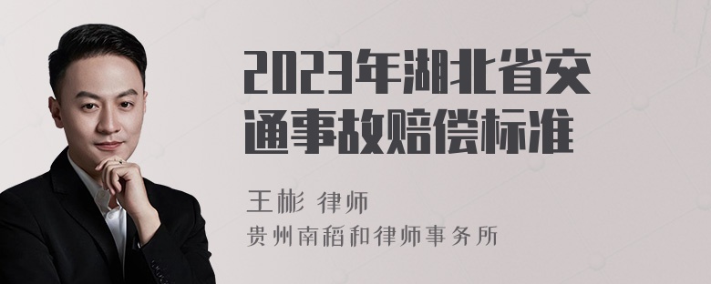 2023年湖北省交通事故赔偿标准