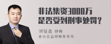 非法集资3000万是否受到刑事处罚？