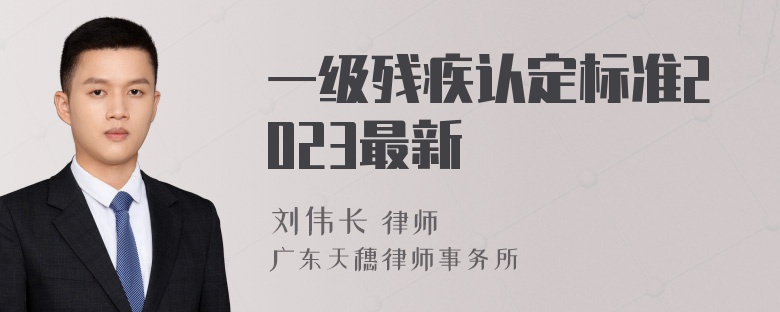 一级残疾认定标准2023最新