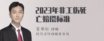 2023年非工伤死亡赔偿标准