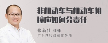 非机动车与机动车相撞应如何分责任