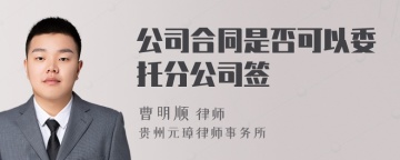 公司合同是否可以委托分公司签