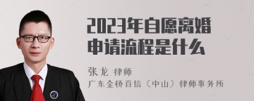 2023年自愿离婚申请流程是什么