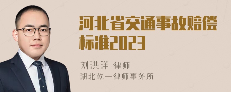 河北省交通事故赔偿标准2023