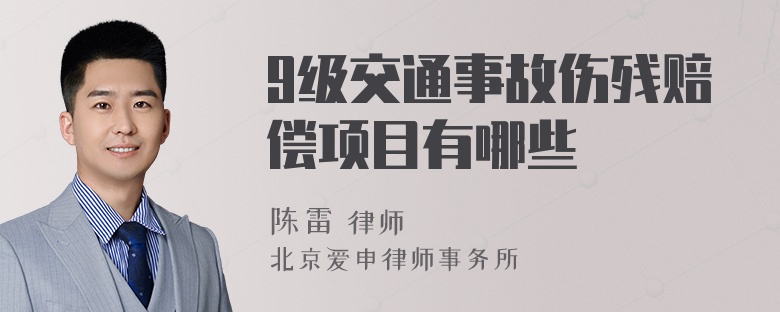 9级交通事故伤残赔偿项目有哪些