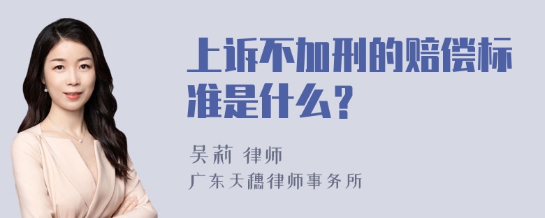 上诉不加刑的赔偿标准是什么？