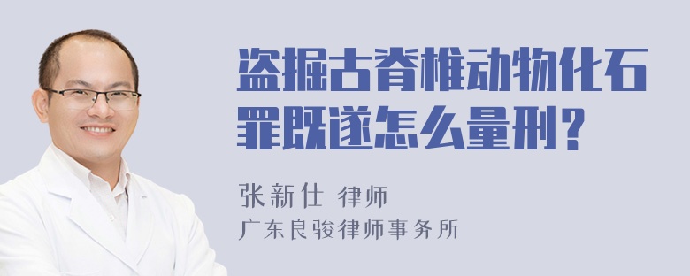 盗掘古脊椎动物化石罪既遂怎么量刑？