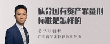 私分国有资产罪量刑标准是怎样的