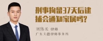 刑事拘留37天后逮捕会通知家属吗?