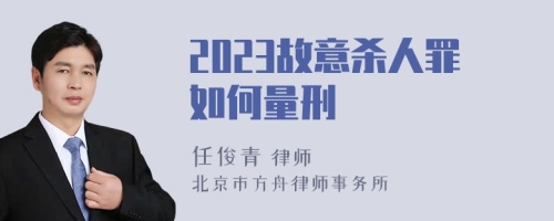 2023故意杀人罪如何量刑