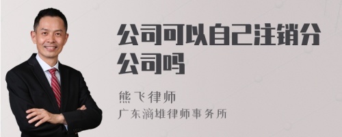 公司可以自己注销分公司吗