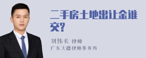 二手房土地出让金谁交?