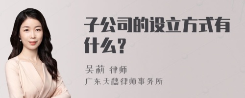 子公司的设立方式有什么？