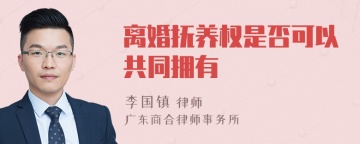 离婚抚养权是否可以共同拥有