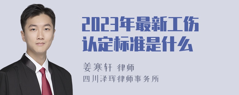 2023年最新工伤认定标准是什么