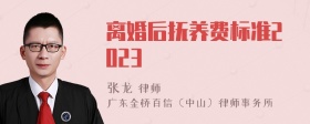 离婚后抚养费标准2023