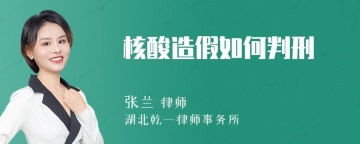 核酸造假如何判刑