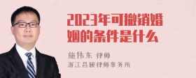 2023年可撤销婚姻的条件是什么