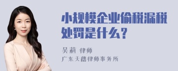 小规模企业偷税漏税处罚是什么？