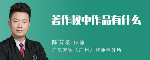 著作权中作品有什么