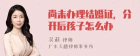 尚未办理结婚证，分开后孩子怎么办