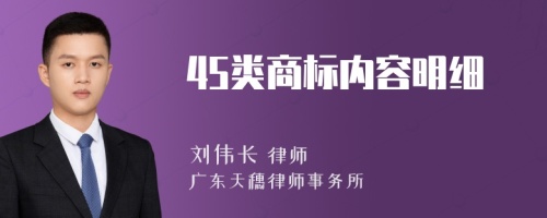 45类商标内容明细