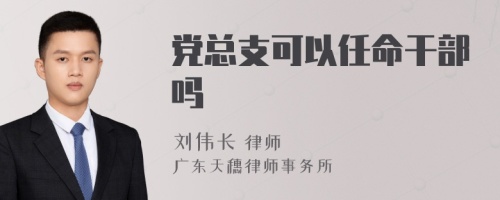 党总支可以任命干部吗