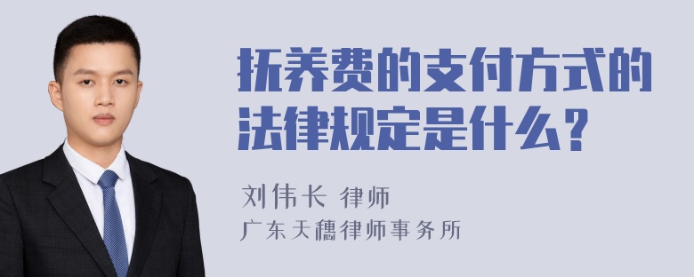 抚养费的支付方式的法律规定是什么？