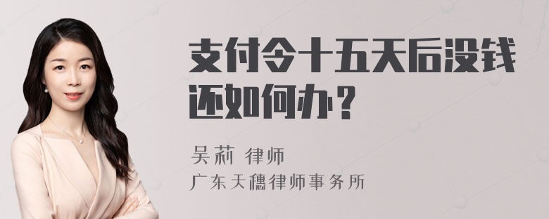 支付令十五天后没钱还如何办？