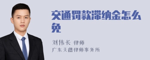 交通罚款滞纳金怎么免