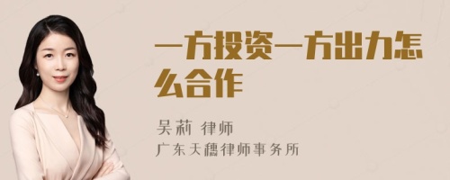 一方投资一方出力怎么合作