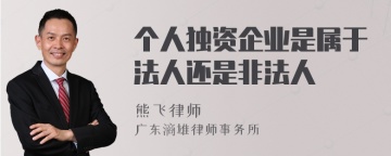 个人独资企业是属于法人还是非法人