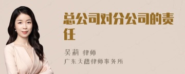 总公司对分公司的责任