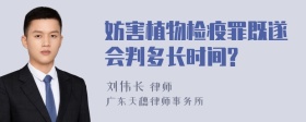 妨害植物检疫罪既遂会判多长时间?