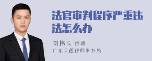 法官审判程序严重违法怎么办