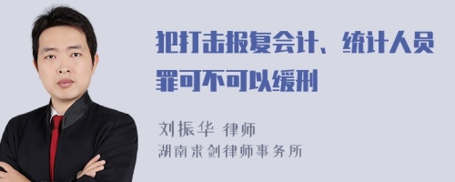 犯打击报复会计、统计人员罪可不可以缓刑