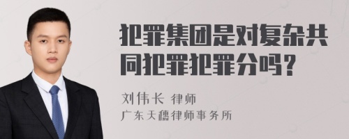 犯罪集团是对复杂共同犯罪犯罪分吗？