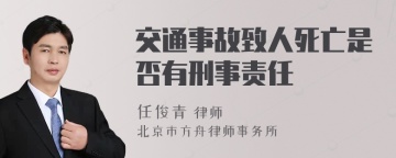 交通事故致人死亡是否有刑事责任