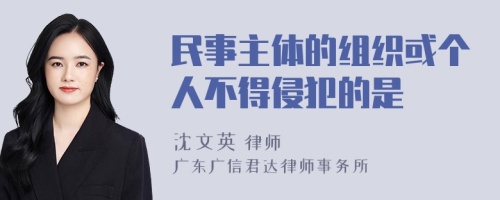 民事主体的组织或个人不得侵犯的是