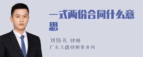 一式两份合同什么意思