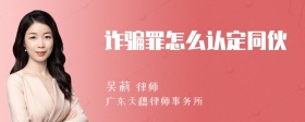 诈骗罪怎么认定同伙