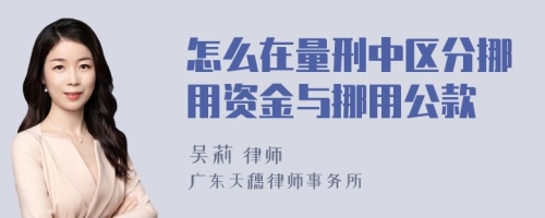 怎么在量刑中区分挪用资金与挪用公款