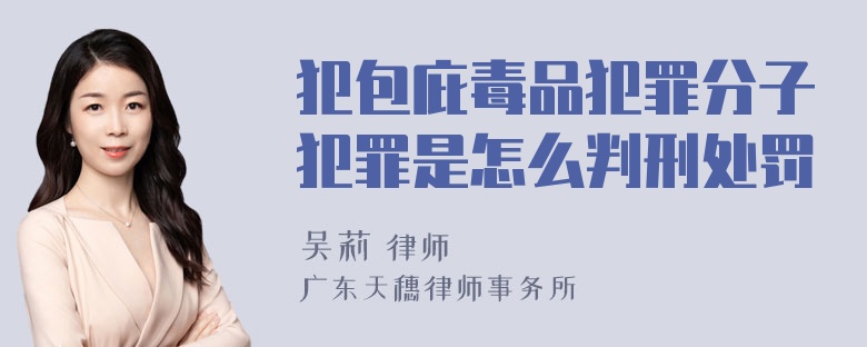 犯包庇毒品犯罪分子犯罪是怎么判刑处罚