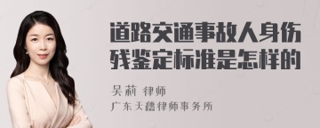 道路交通事故人身伤残鉴定标准是怎样的